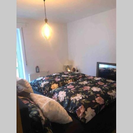 Appartement Sonnenoase Gufi à Gundelfingen  Extérieur photo