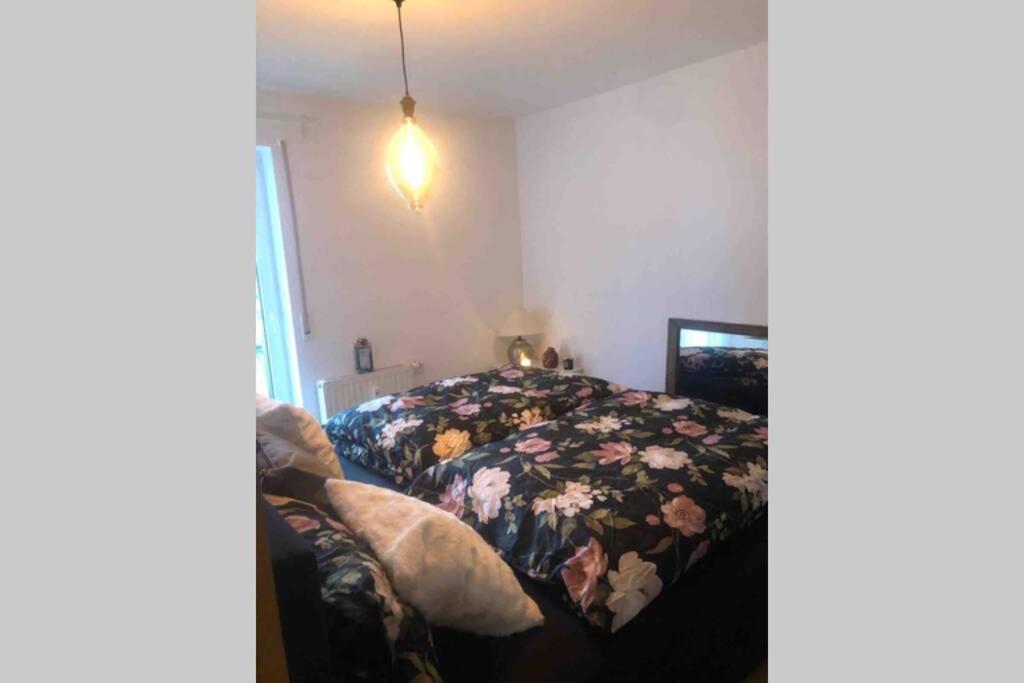 Appartement Sonnenoase Gufi à Gundelfingen  Extérieur photo
