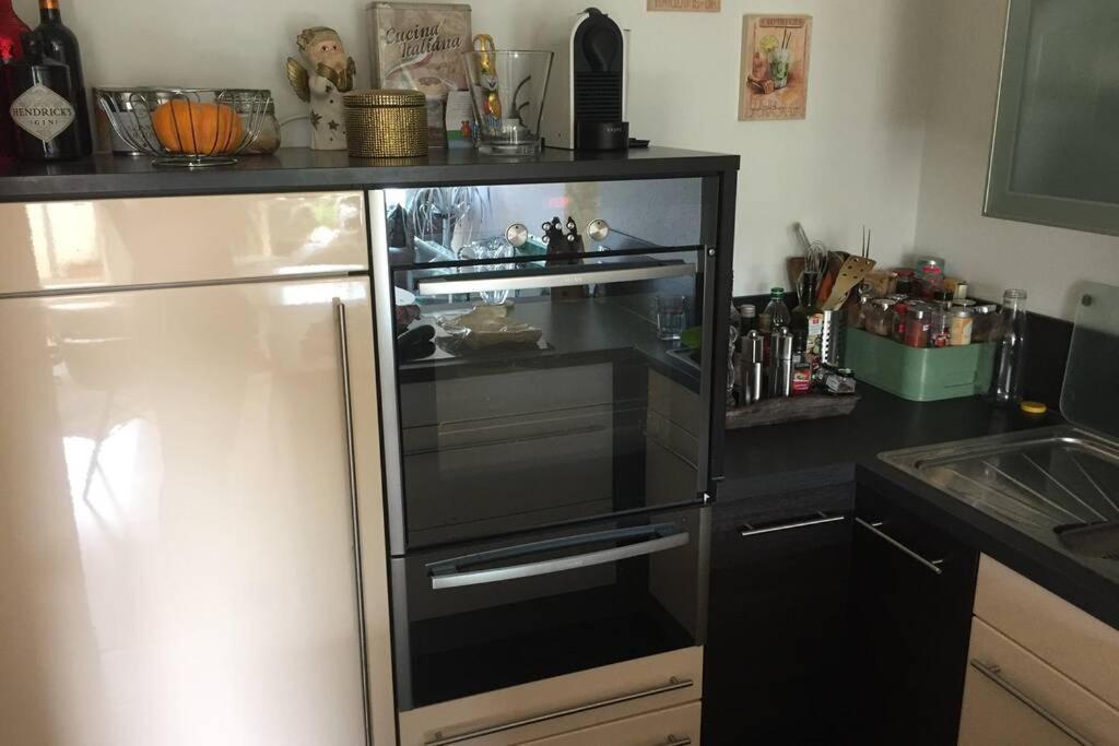 Appartement Sonnenoase Gufi à Gundelfingen  Extérieur photo